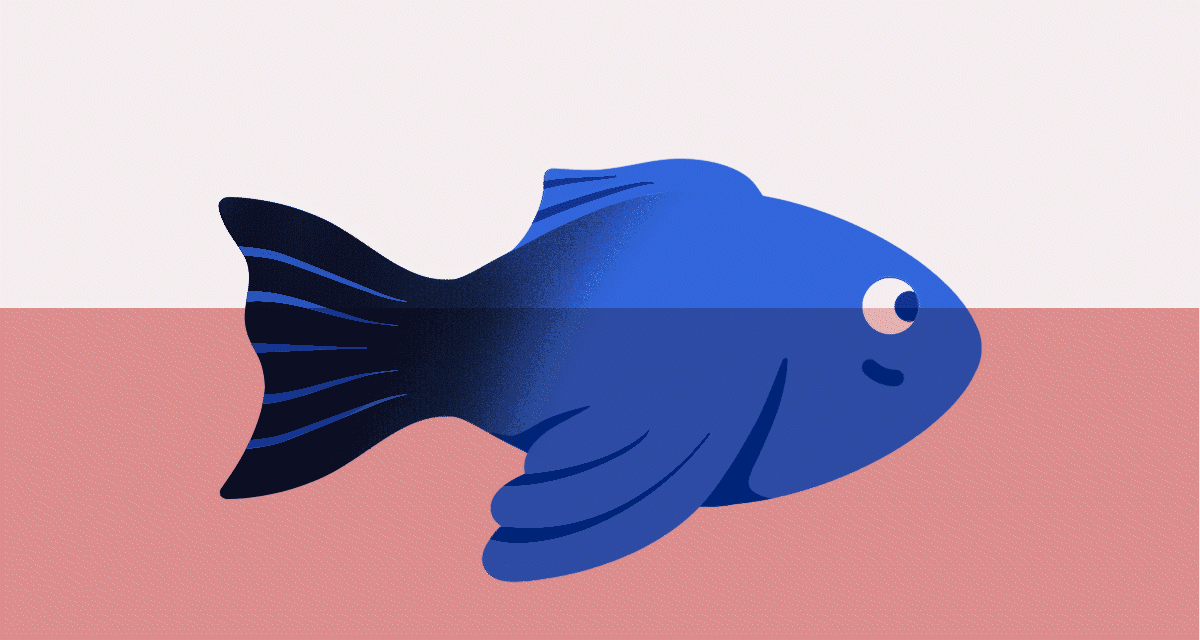 Ex-CEO weighs in on eFishery fiasco