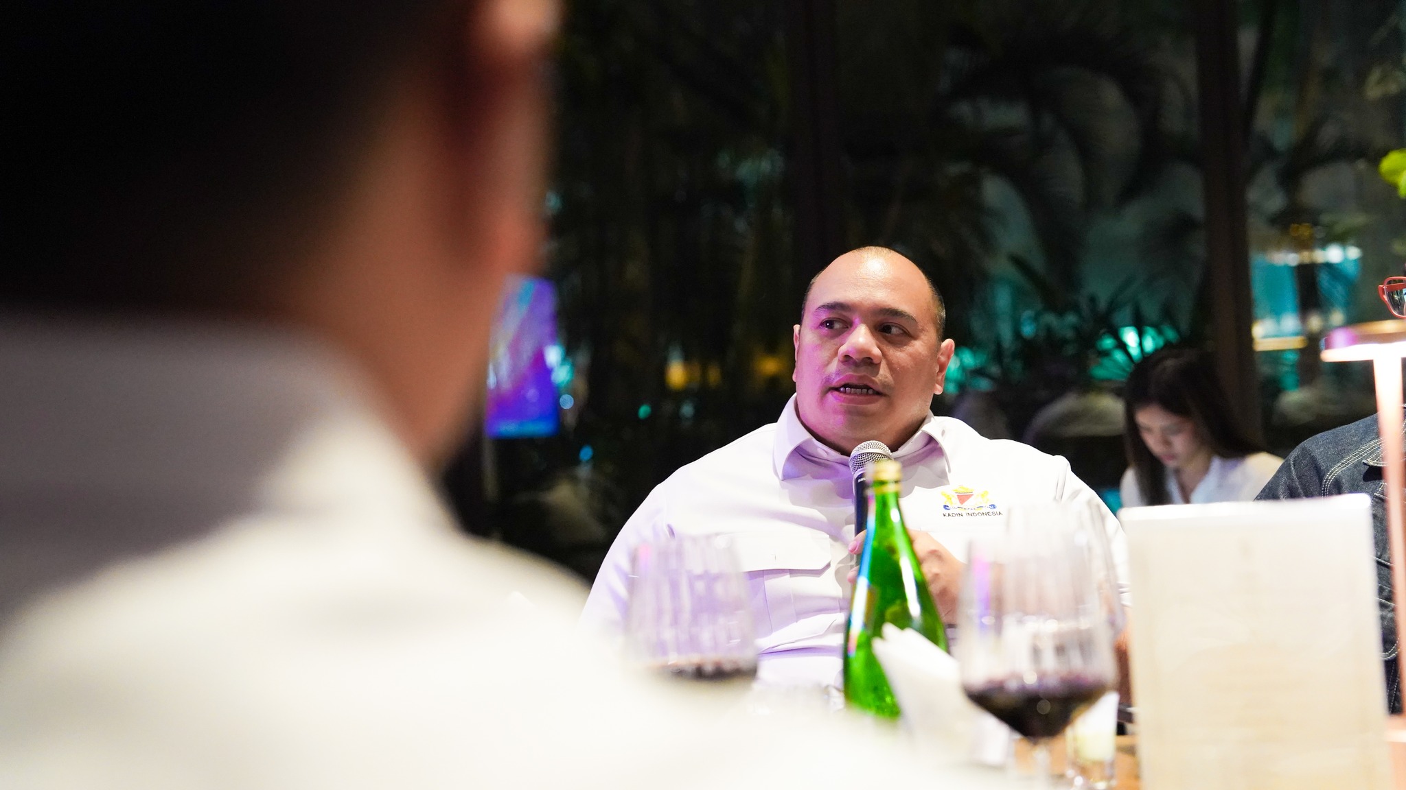 Pandu Sjahrir now investment chief of ID’s sovereign wealth fund