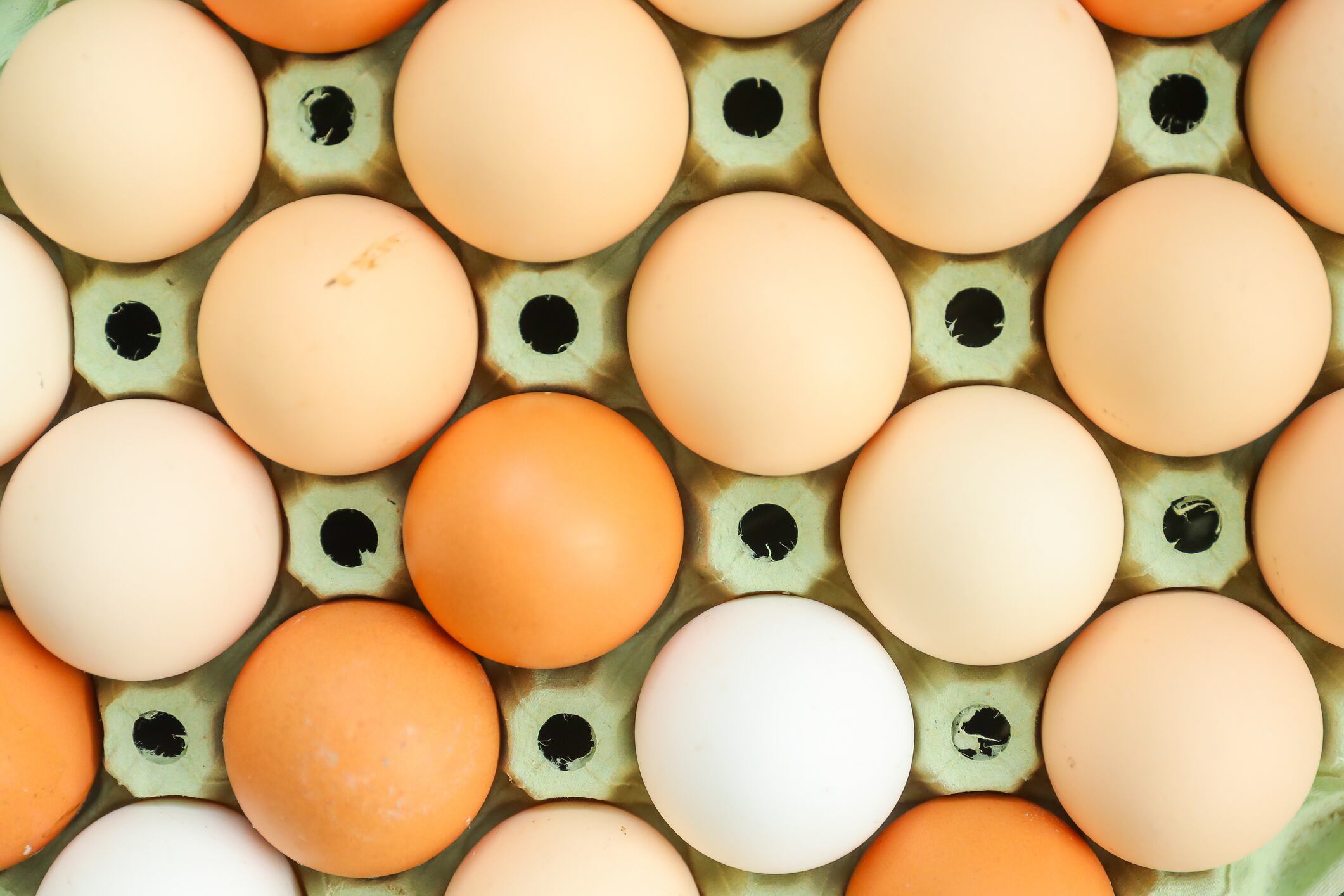 Eggy errors: Free-range eggs latest commodity to come under fire in South Korea for false claims