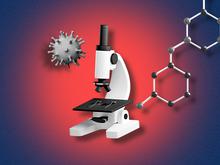 „Ich dachte, die USA seien immun gegen Diktatur“: Sieben Forscher erzählen, was Trump mit ihren Laboren macht