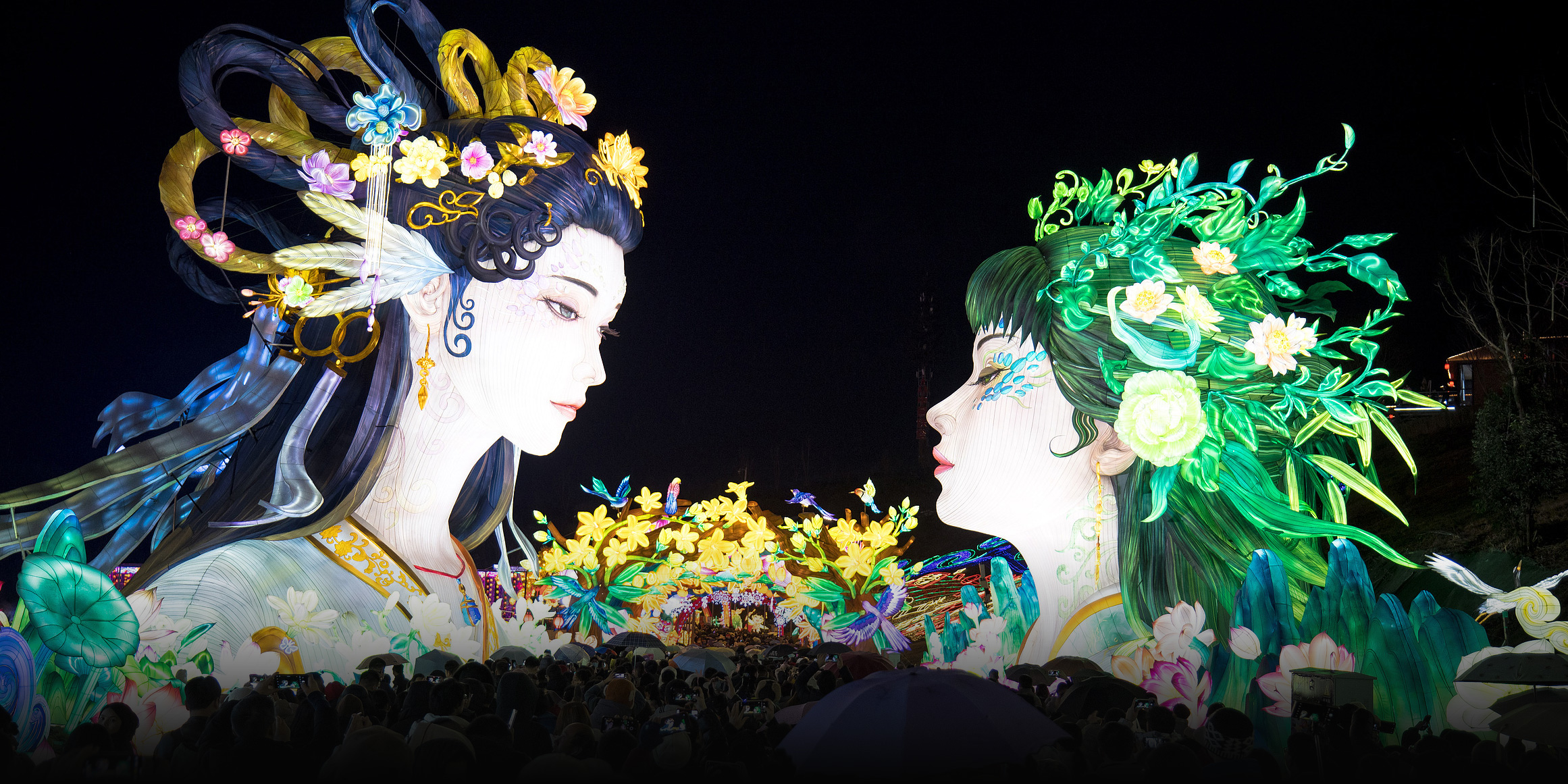 Collage: The Year of the Snake