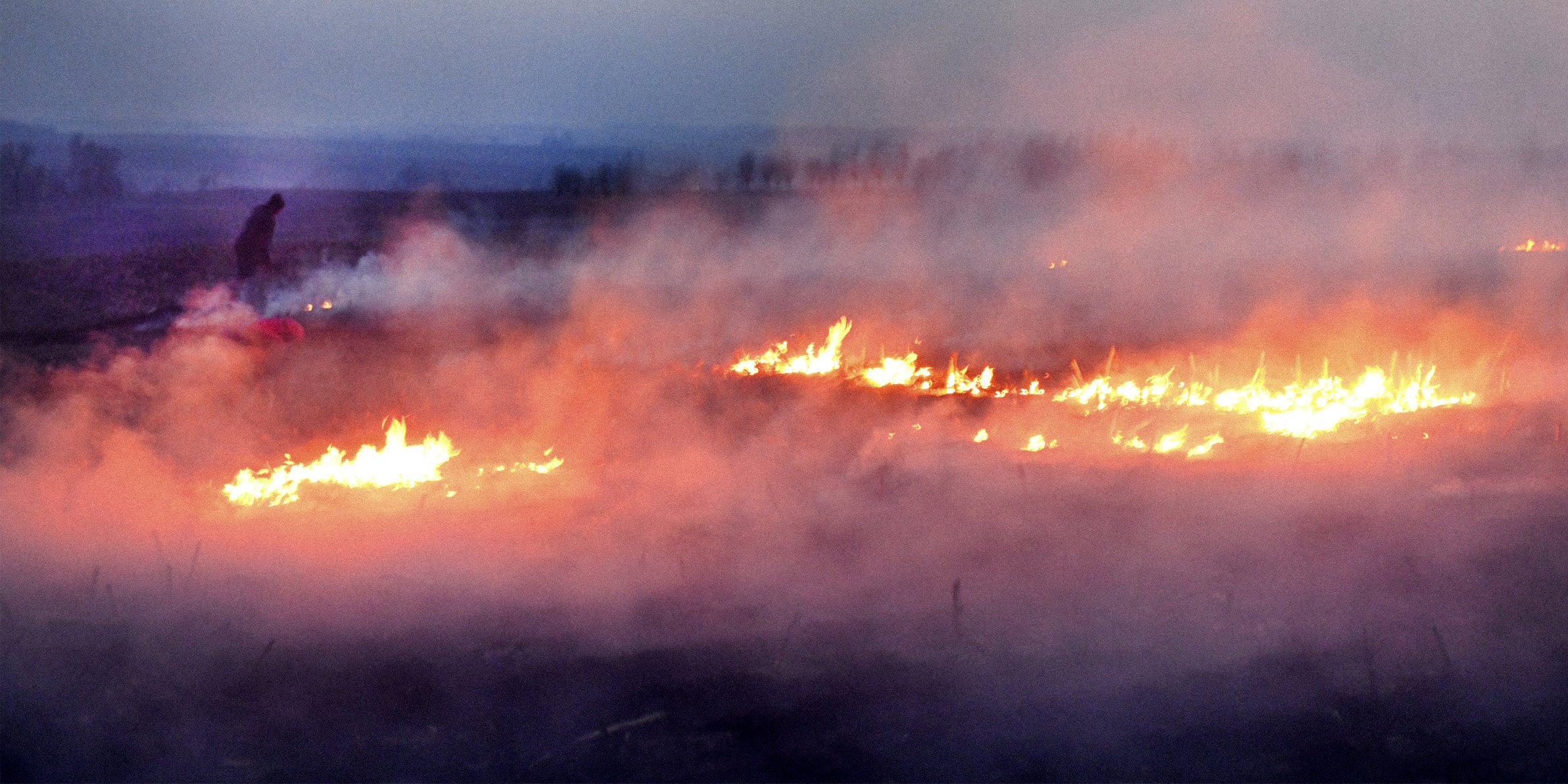 Let It Burn: Why China Is Looking the Other Way on Farm Fires