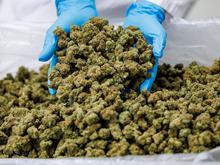 Neue Zahlen veröffentlicht: Cannabis-Importe im Jahr 2024 sprunghaft angestiegen