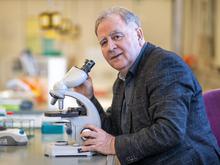 Einigung auf kurze Sperre: Doping-Fall Sinner: Experte attackiert Wada für Sperre-Deal