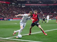 Fußball-Bundesliga: Erstmals Schiedsrichter-Durchsage in Leverkusen