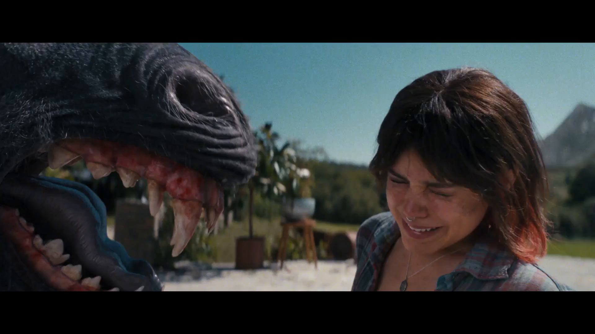 保羅·路德、珍娜·奧爾特加和威爾·保爾特在 A24 即將上映的黑色喜劇中面對復讎心切的獨角獸