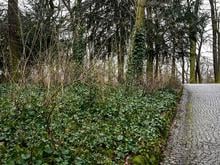 Straftat: Mutter und Kleinkinder von Mann rassistisch beleidigt