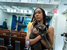 Vierbeiniger Gast: Katze auf Abwegen sorgt für Aufsehen im Weißen Haus