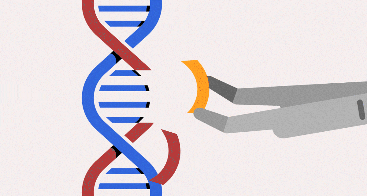 No wrinkles lah: SG’s biohacker boom