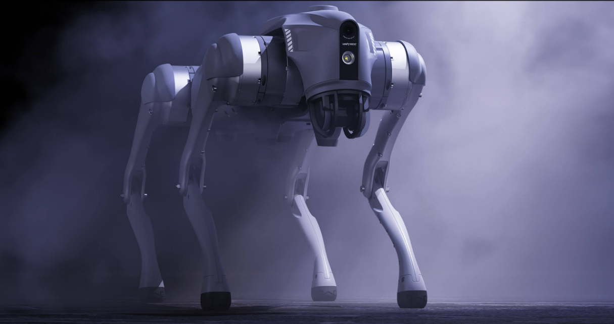 China to host first embodied intelligence robot games following robot marathon: report