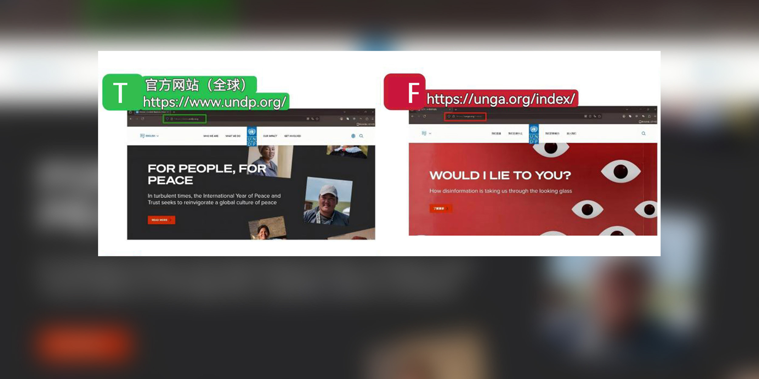 Chinese Firm Used Fake UN Website to Target Students: Xinhua