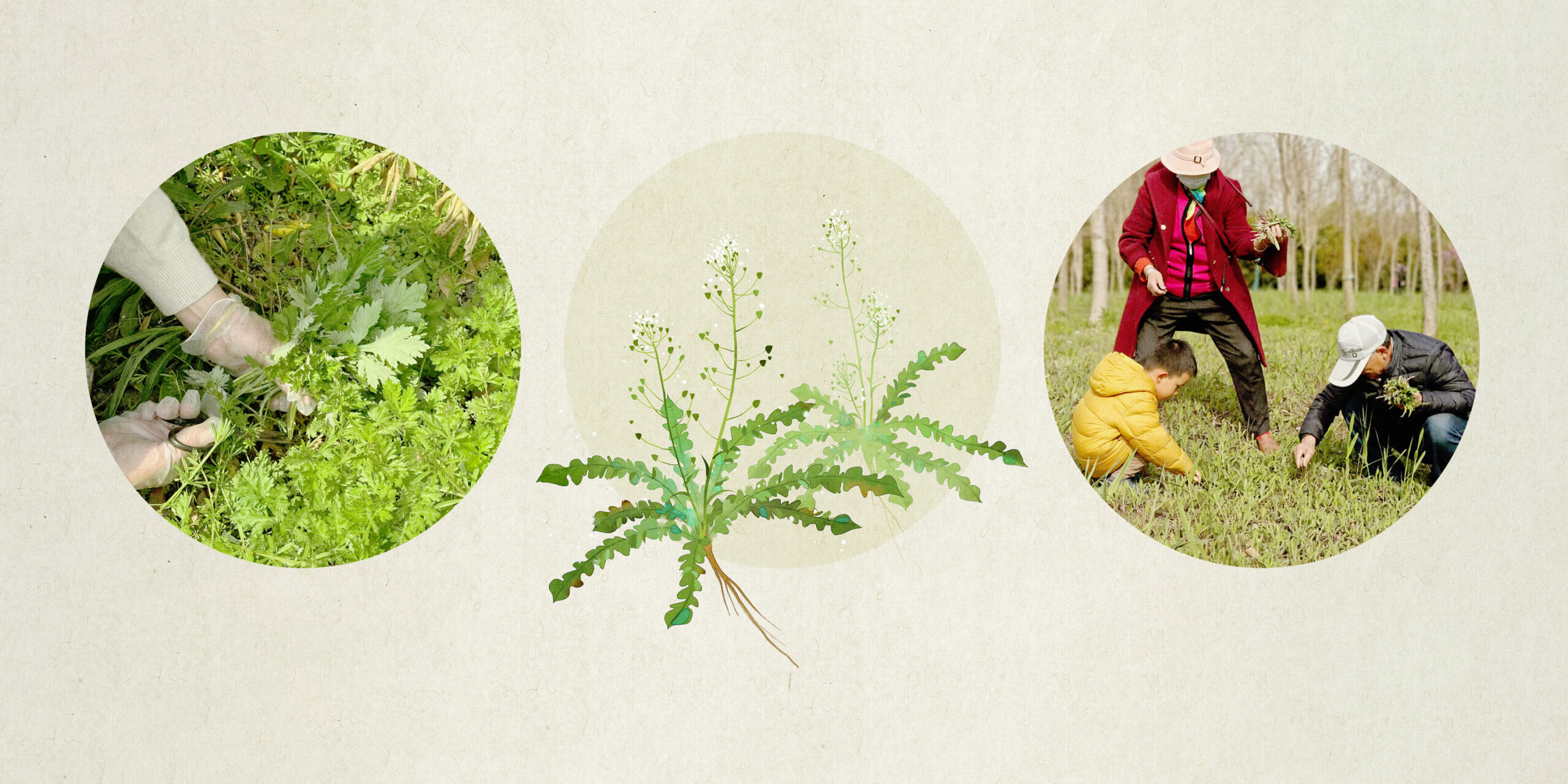 Dig This: Shanghai’s Coolest Hobby Gets Everyone’s Hands Dirty