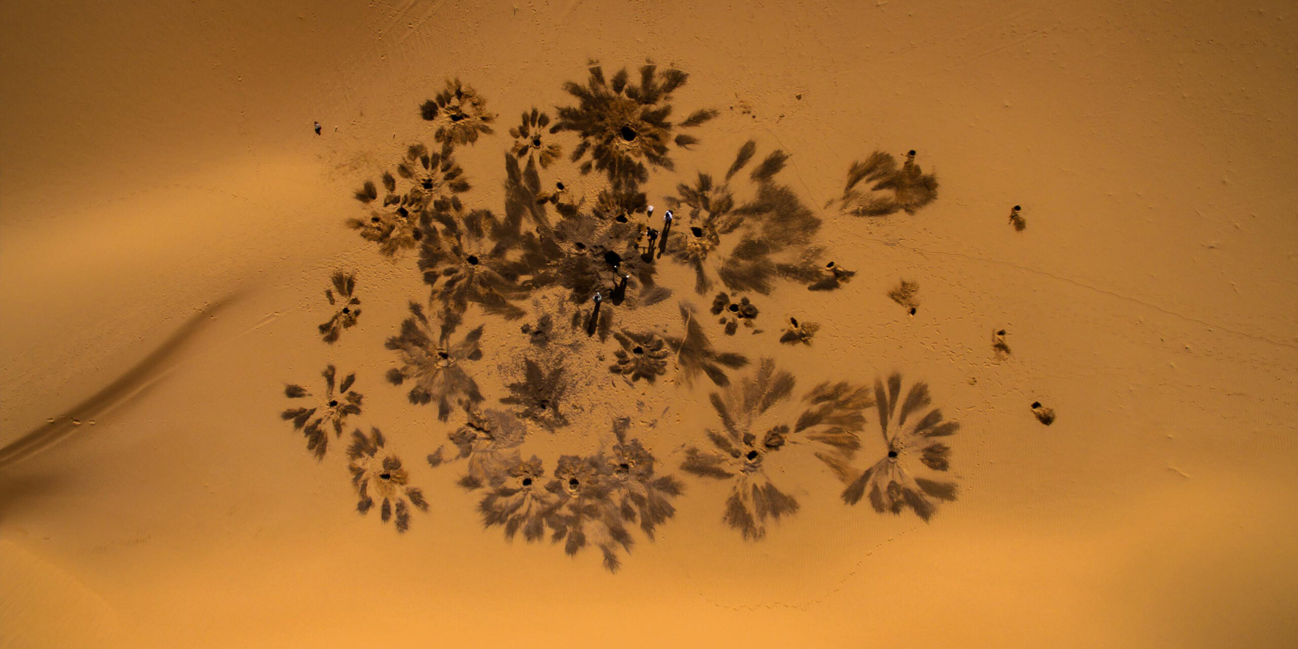 Through the Cracks: Unveiling the Truth in Silence