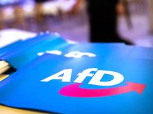 „AfD wird aus Protest gewählt – das kann man nicht verbieten“: Führende Unionsleute bleiben bei AfD-Verbotsthema skeptisch
