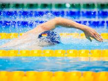 Deutscher Schwimm-Verband: Görsdorf neuer Chef-Bundestrainer beim Schwimm-Verband