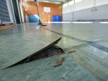 „Sport ist systemrelevant“: Branche drängt auf Sondervermögen