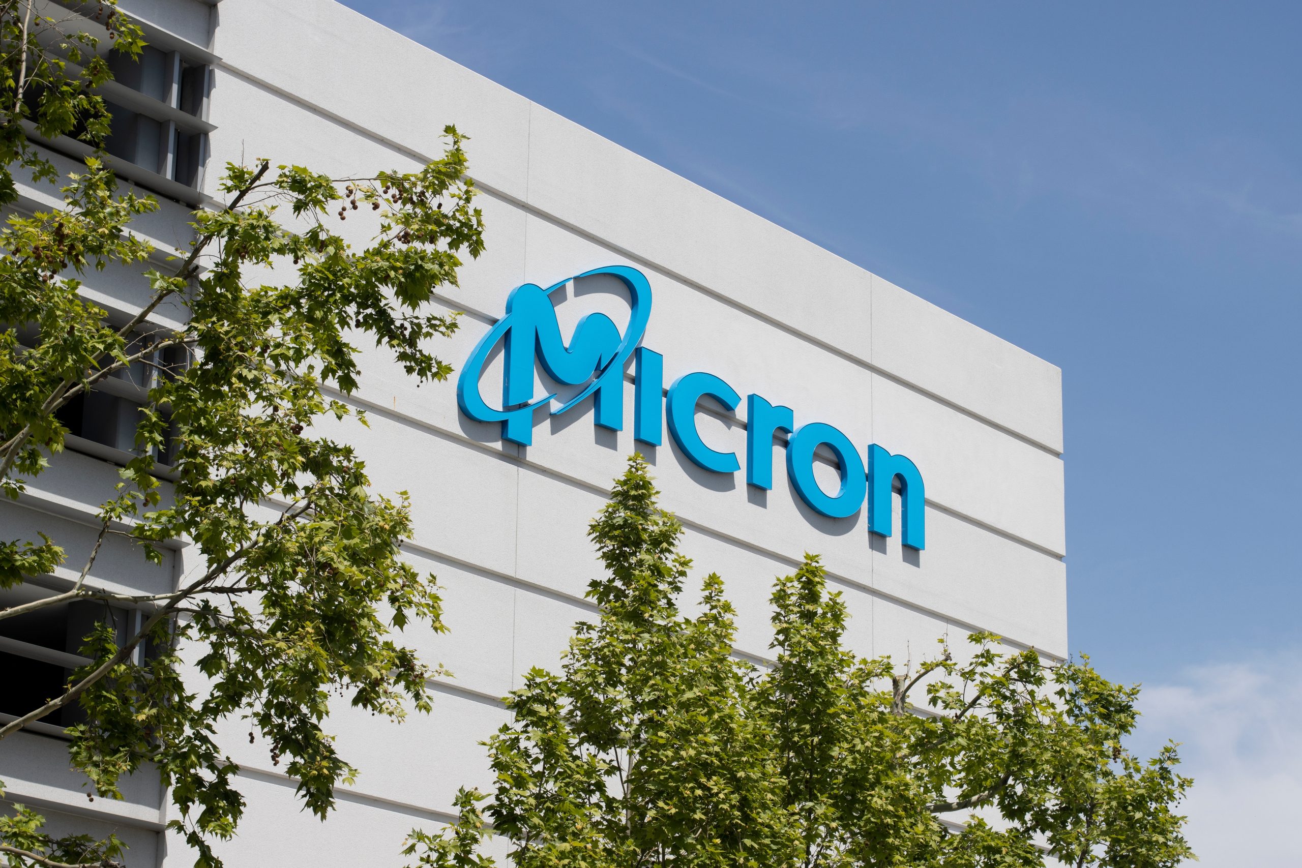 Chinese chipmaker YMTC sues Micron for defamation