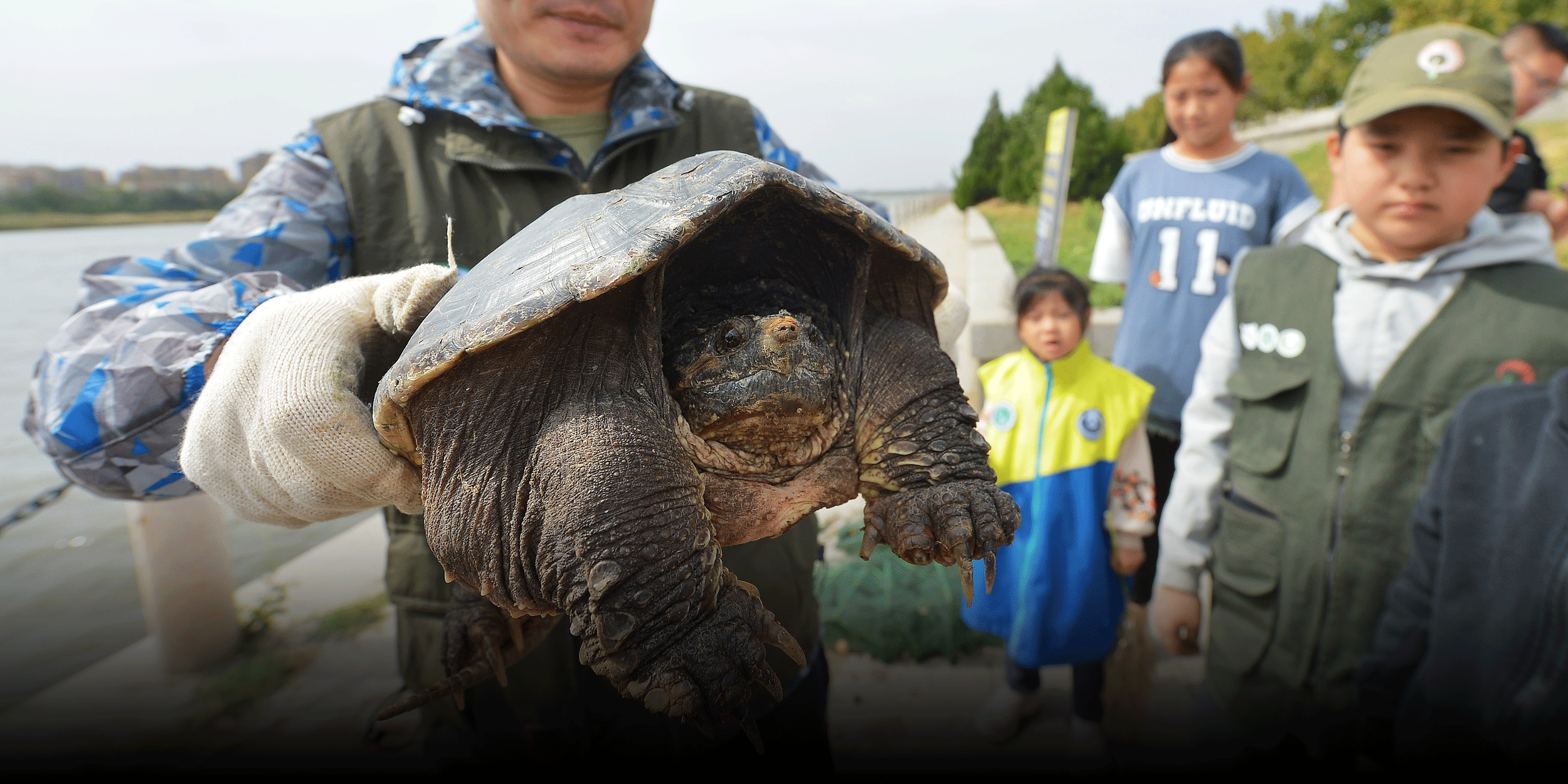Let it Go? China Curbs Ritual Releases of Sick, Invasive Wildlife