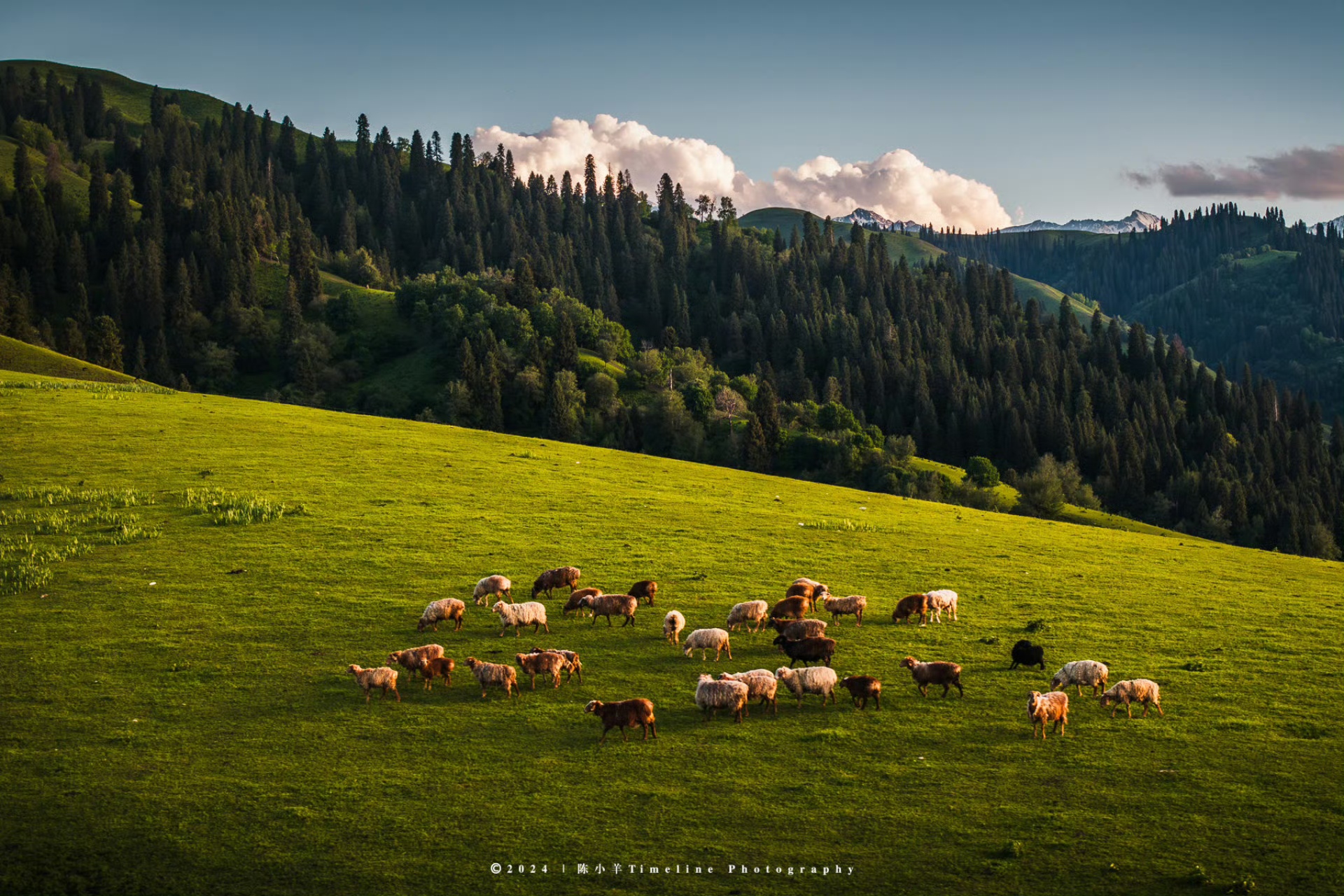 DJI responds to drone shortage in the US and reaffirms market commitment