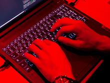 Bitkom-Prognose: Branche rechnet erneut mit Wachstum in der Digitalwirtschaft