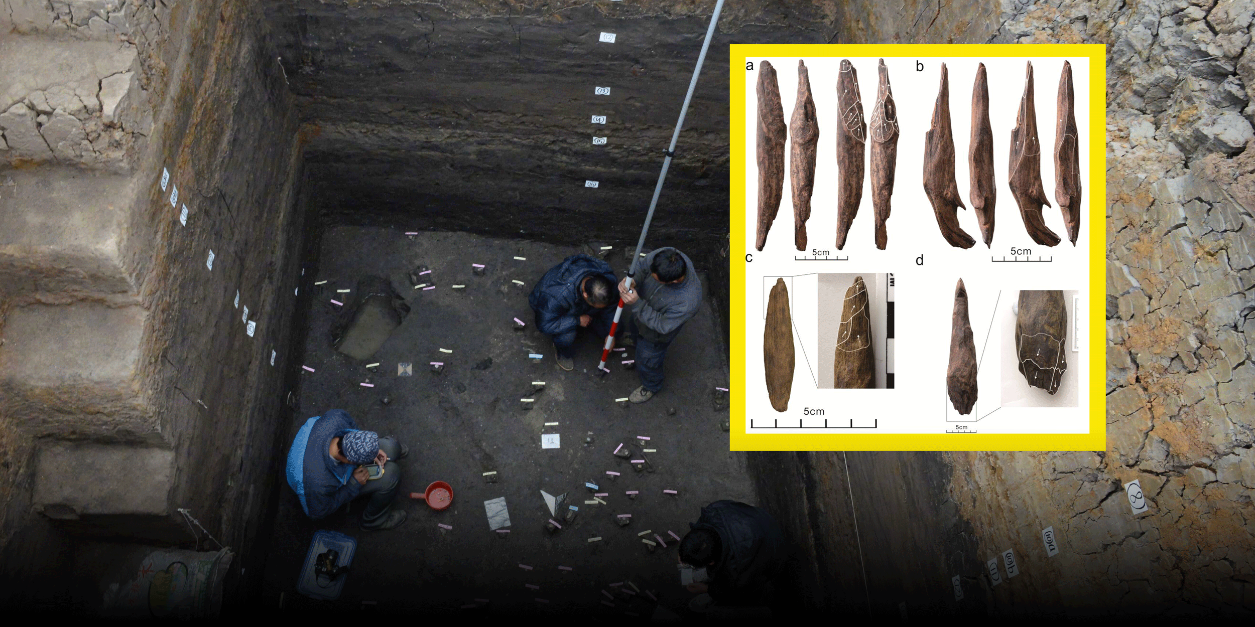 300,000-Year-Old Tools in China Show Early Humans Dug for Plants