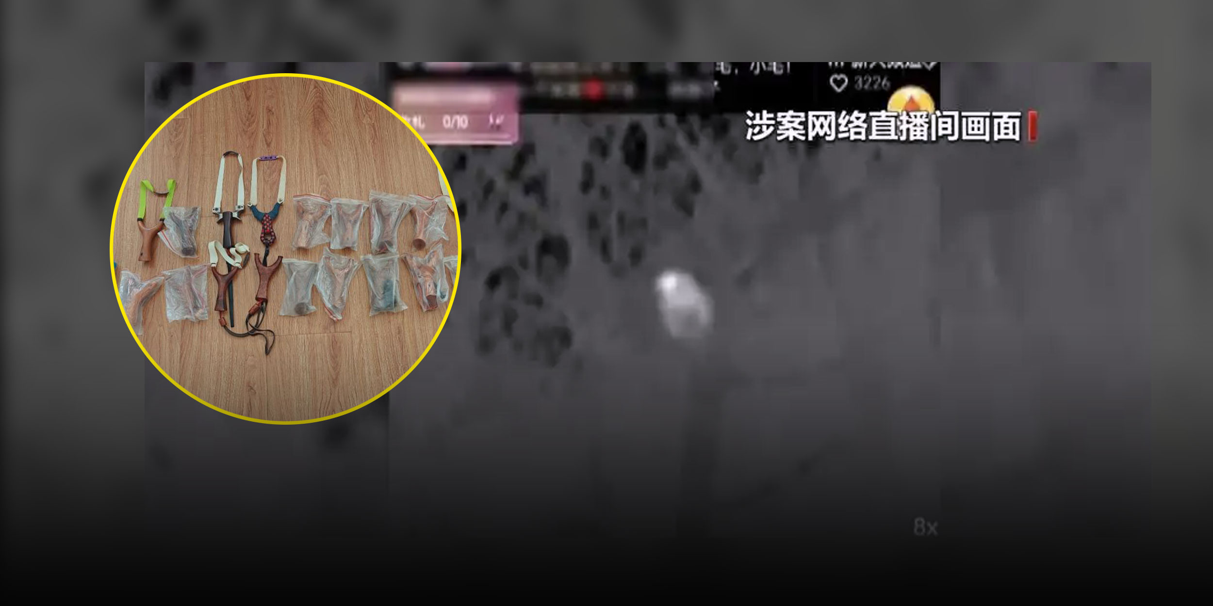 China’s Illegal Hunting Livestreams Disguised as ‘Outdoor Sports’