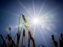 Endlich Sommer in Berlin und Brandenburg: Temperaturen steigen, kein Regen in Sicht
