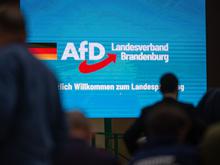 Sieben Gründe für die Hochstufung: Darum nennt der Verfassungsschutz die Brandenburger AfD gesichert rechtsextrem