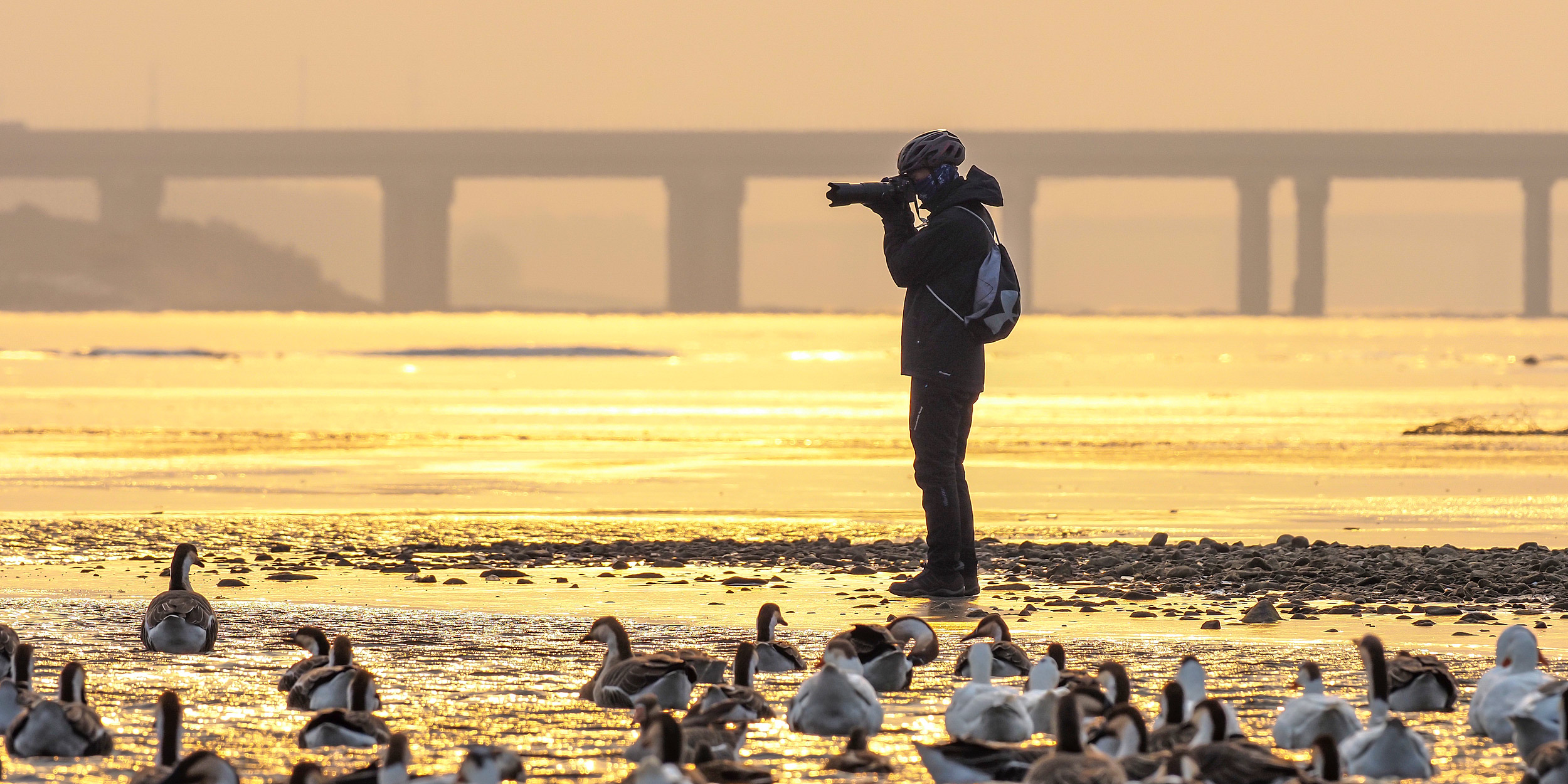 How China’s Urban Youth Became Obsessed With Birding