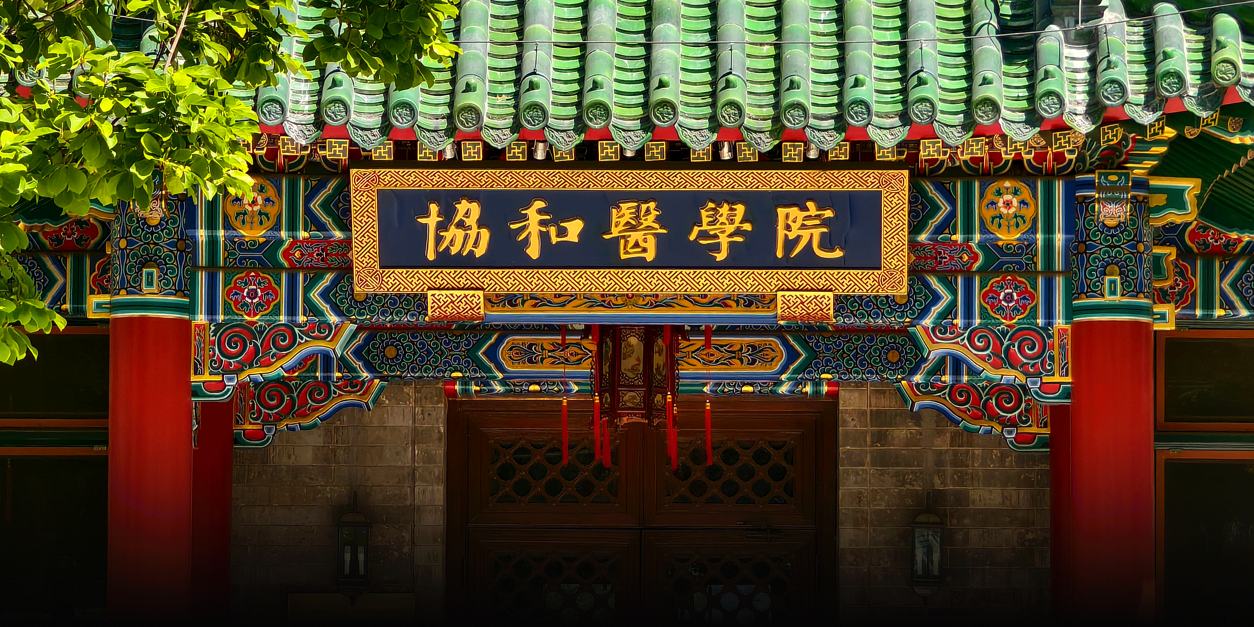 Trainee Faked Her Way Into Elite Chinese Hospitals, 19 Punished