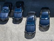 Dienstwagen-Check: Nur noch zwei Minister in Brandenburg mit E-Autos unterwegs