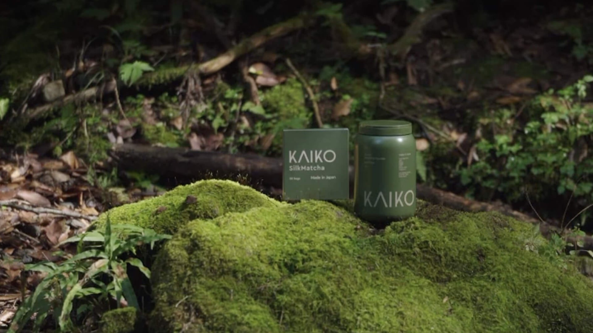 Silkworm protein firm targets ASEAN, EU expansion