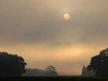 Wetter: Viele Wolken, kaum Regen: Wochenende in der Hauptstadtregion