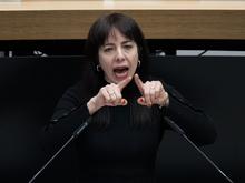 Wahlen: Designierte Linke-Spitzenfrau Eralp stellt sich vor