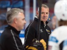 Champions Hockey League: Trotz CHL-Aus: Eisbären-Coach Aubin ist „stolz“ auf das Team