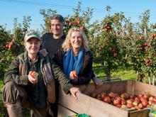 „Tatort“ aus dem Norden: Furtwängler-„Tatort“: Kopflos im Alten Land