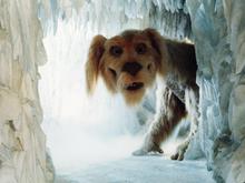 Gemeinschaft durch Kunst: Noosha Aubel eröffnet den Potsdamer Kulturwinter