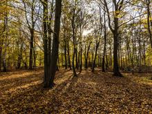 Wetter: Mildes Herbstwetter