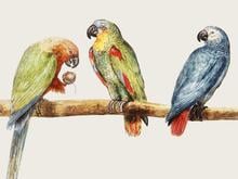 Medienphilosoph Roberto Simanowski über KI: „Ein stochastischer Papagei, der das Durchschnittsdenken nachplappert“