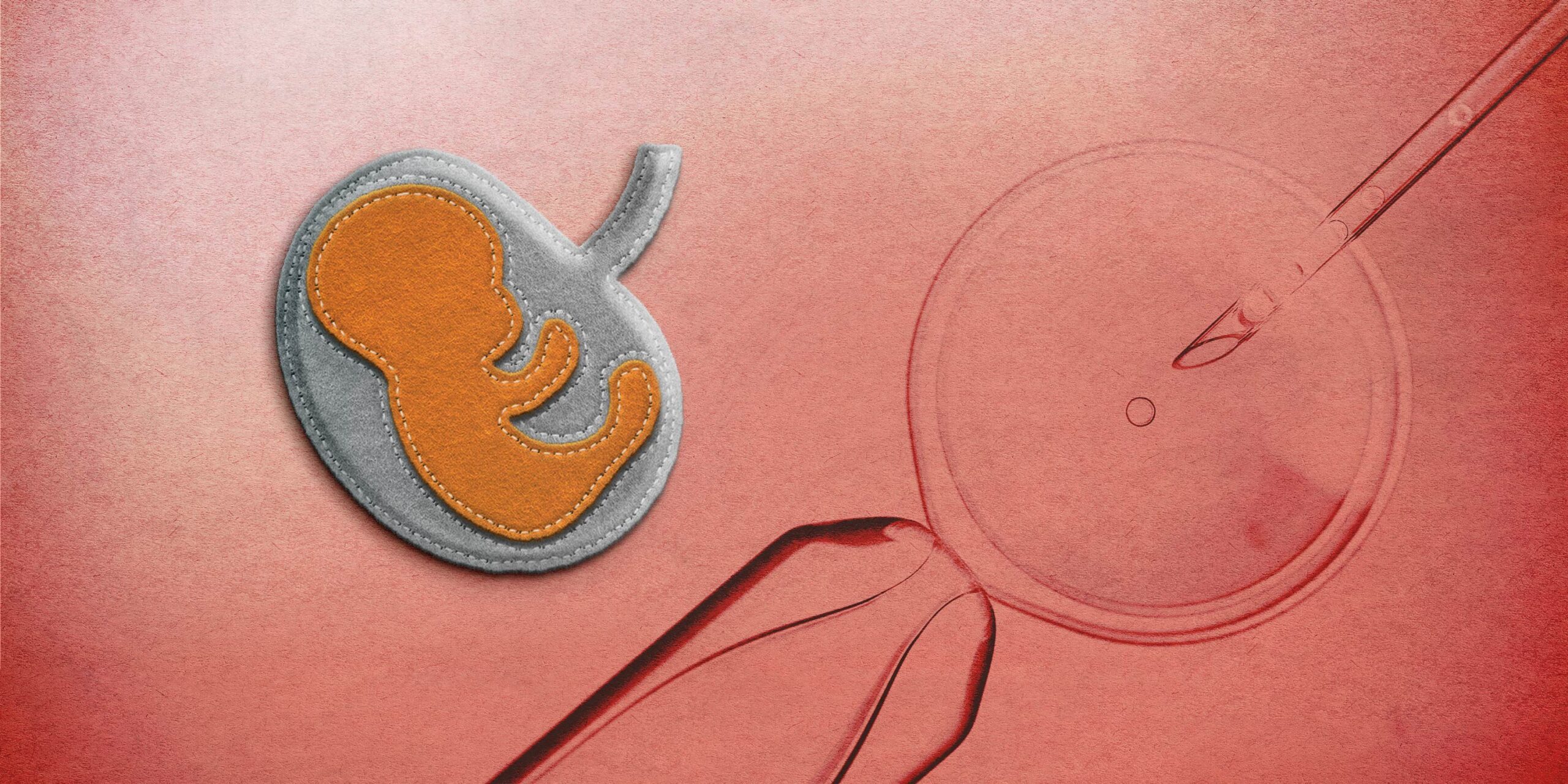 Life After Death: A Widow’s Fight for Her IVF Baby