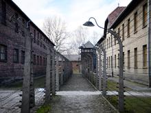 Kritik vom Internationalen Auschwitz Komitee: Versteigerung von Dokumenten von NS-Opfern abgesagt