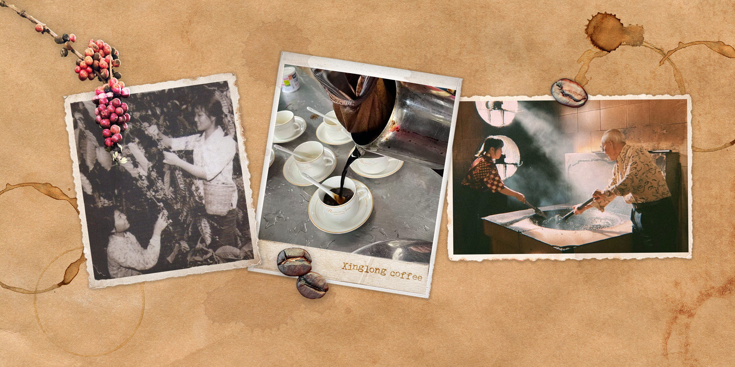 A Coffee of Exile and Memory Comes Home to Hainan