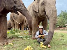 Tierschutz in Thailand: Die Elefantenflüsterin von Chiang Mai