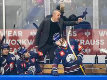 Deutsche Eishockey Liga: Eisbären: Spiel beim Spitzenreiter wird zum Charaktertest