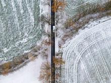 Wetter: Frost, Nebel und etwas Schnee am Morgen