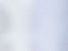 Staatsbesuch in London: Charles rollt Steinmeier den roten Teppich aus