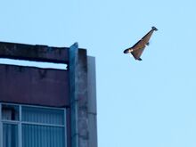 Ukraine-Invasion, Tag 1379: Rubikon-Einheit hebt Russlands Drohnenkrieg auf neues Niveau