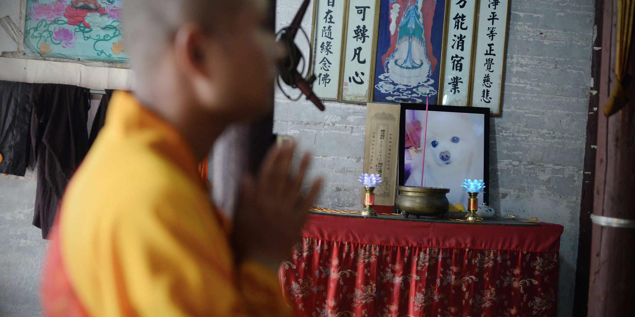 Can Chinese Temples Help the Souls of Dead Pets? It’s Complicated