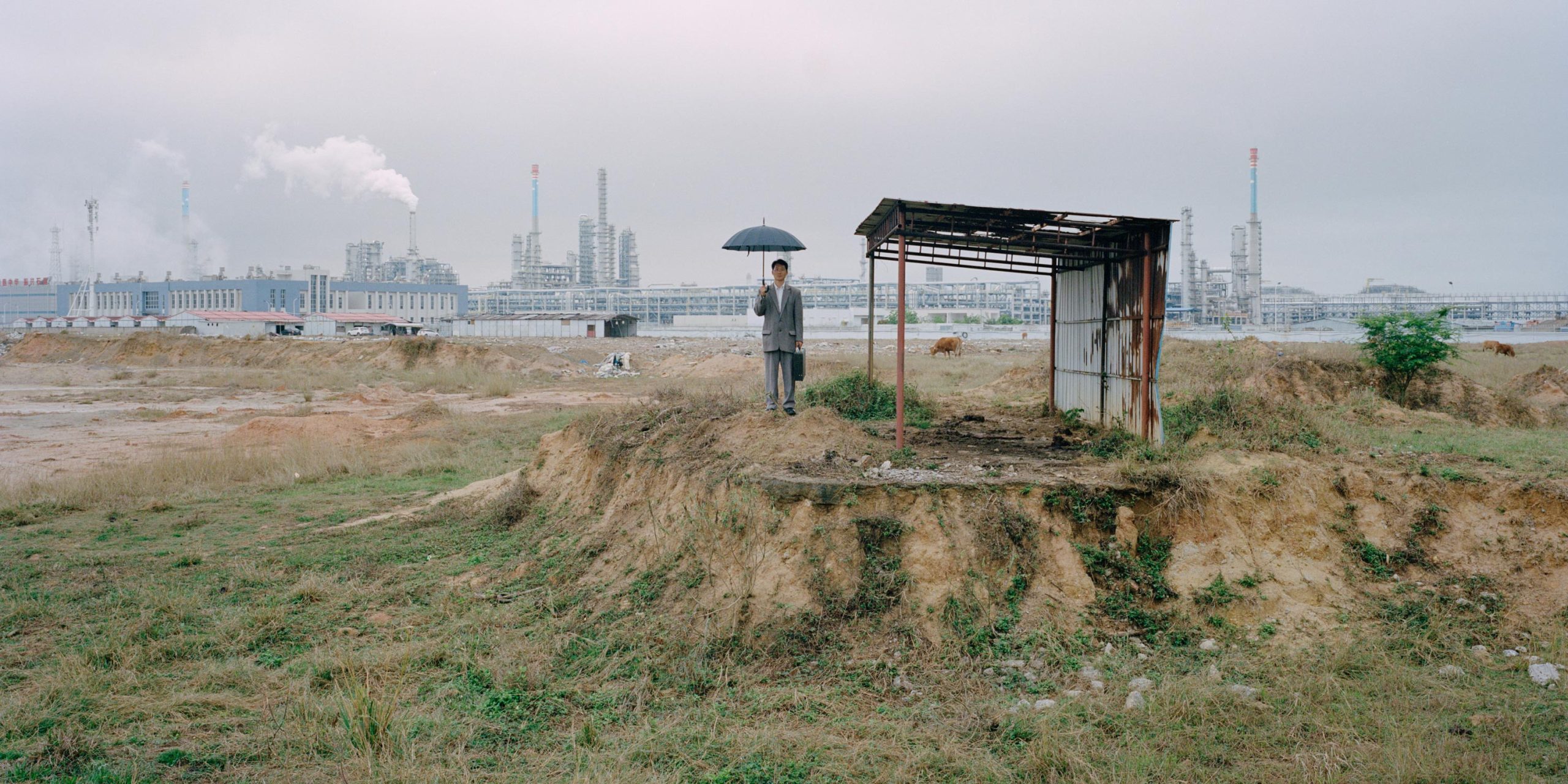 The Island, the Man, and the Long Goodbye