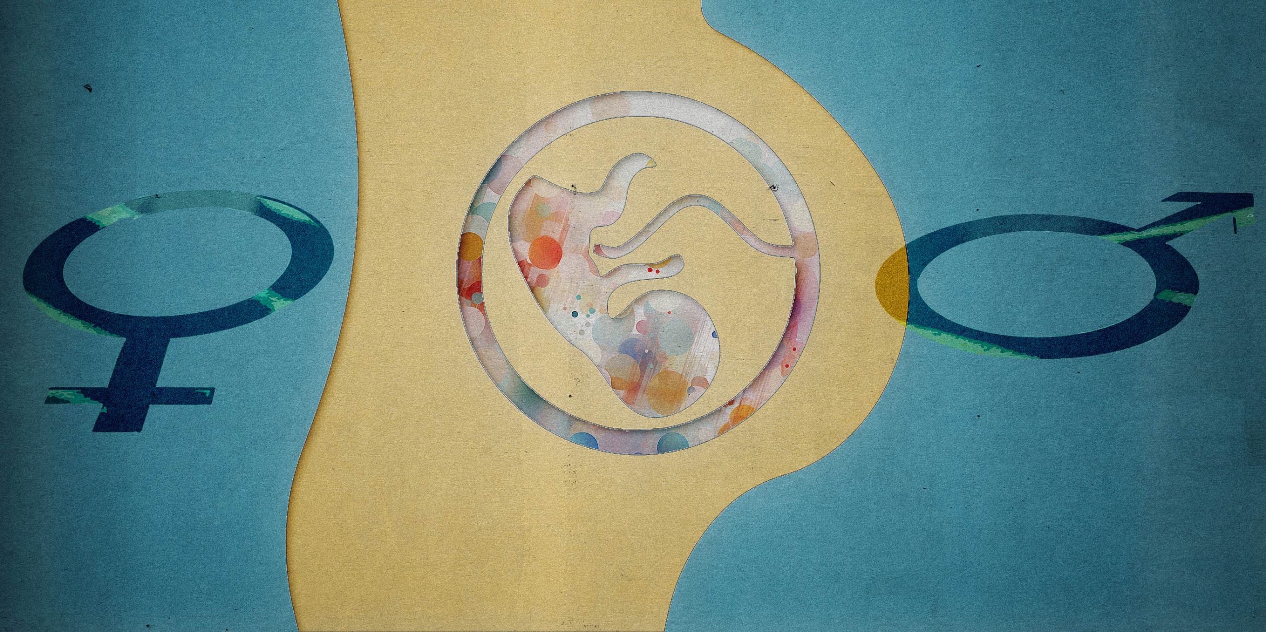 China Busts Fetal Sex Testing Rings Smuggling Blood Samples